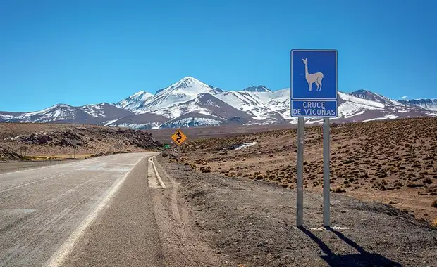 Le Chili, de la Patagonie au désert d'Atacama - 7