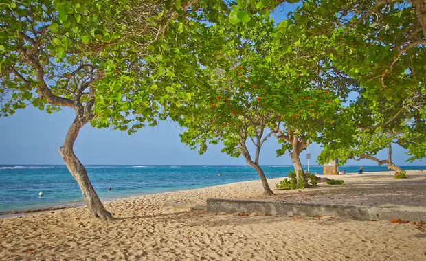 Résidence Tropicale - 3