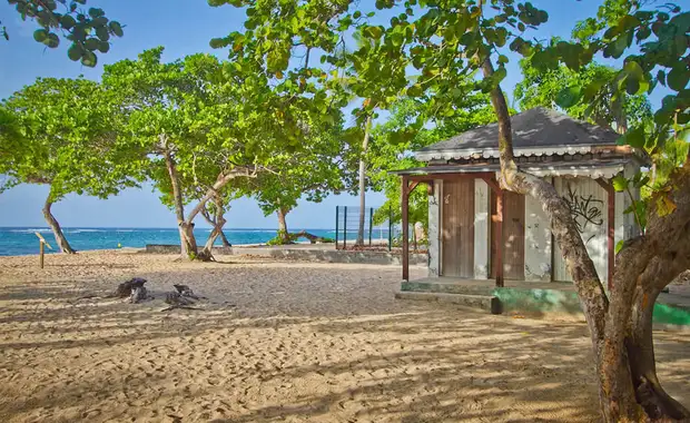 Résidence Tropicale - 2