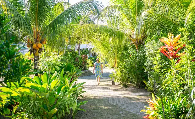 Les Lauriers Eco Hotel & Restaurant *** - 11