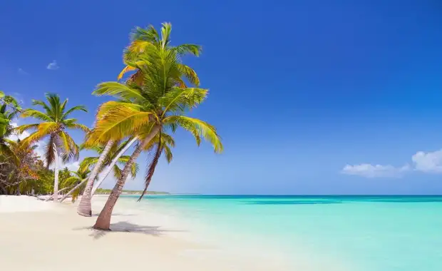 Bahia Principe Grand Punta Cana 5* - 11