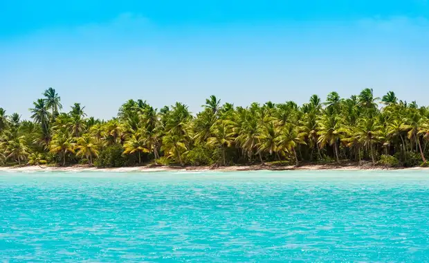 Catalonia Royal la Romana 5* - 11