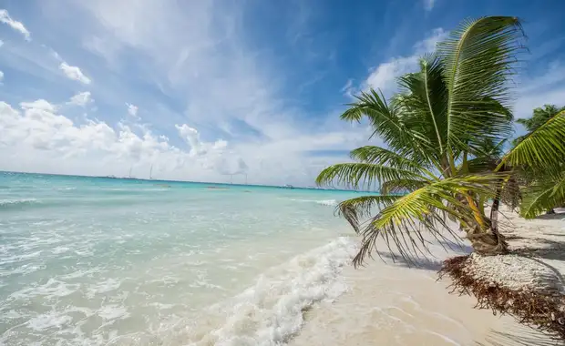 Catalonia Royal la Romana 5* - 12