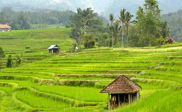 Circuit Irrésistible Bali 3/4 * 13 jours - 10 nuits - 5