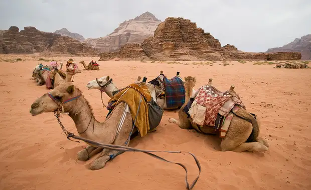 TRESORS JORDANIENS 3* 8 Jours / 7 Nuits - 11