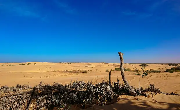 Combiné Circuit Balade Sénégalaise 3* & Ôclub Experience African Village Bougainvillées 3* - 6