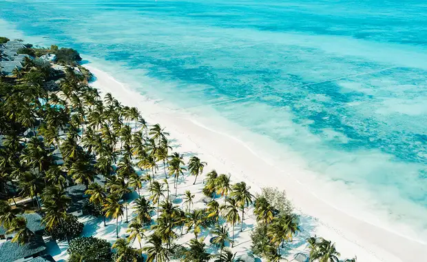 Jaz Aurora Beach 5* - 1