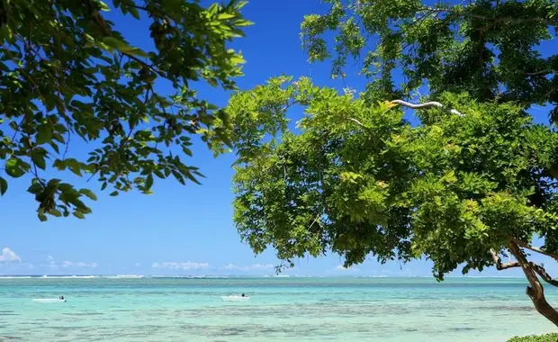 Tamassa Bel Ombre 4* - 6