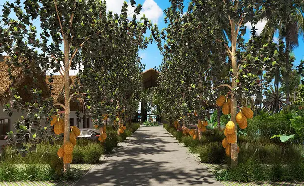 Jaz Aurora Beach 5* + Safari 2 Nuits - 3