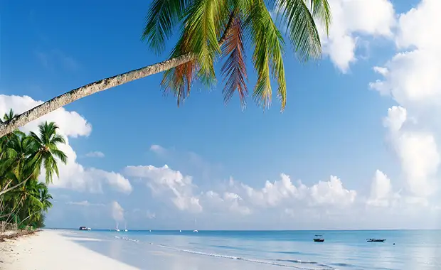 Jaz Aurora Beach 5* + Safari 2 Nuits - 13