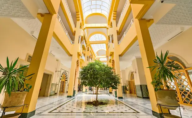 TUI Sélection Hôtel Royal Garden Palace - Choix Flex ***** - 16