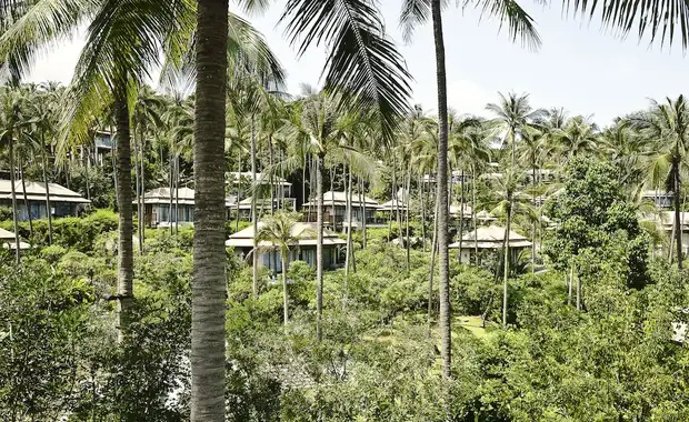 Banyan Tree Samui - 19