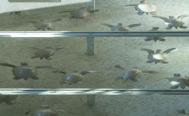 Coco Mat Athens BC - 19