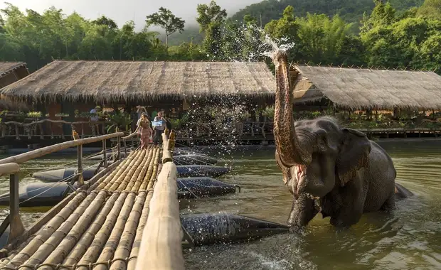 River Kwai Jungle Rafts - 8