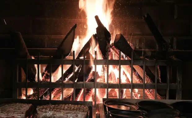 Paloma Perissia - 24