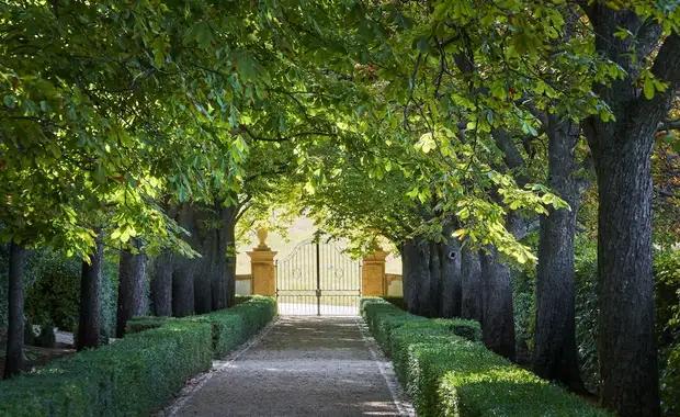 Château de la Gaude - 40