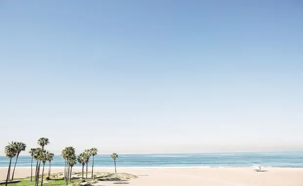 Oceana - 17