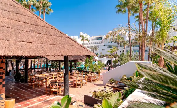 Jardin Tropical Hotel - 19