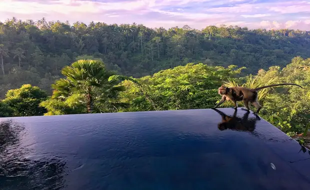 Hanging Gardens of Bali - 7
