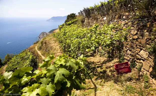 La Sosta di Ottone III - 24