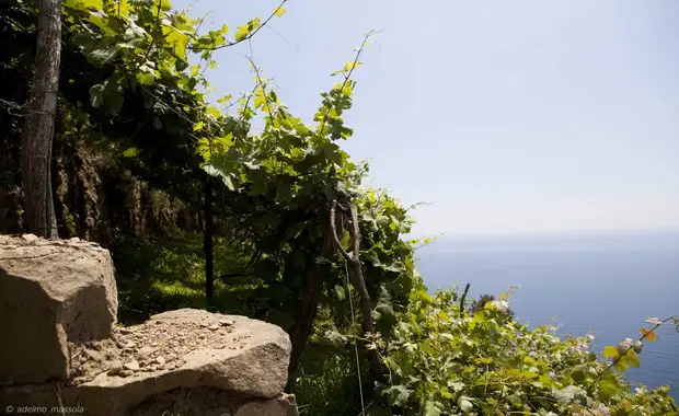 La Sosta di Ottone III - 37