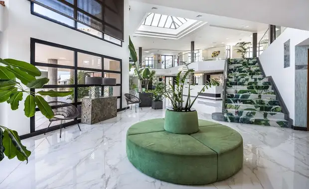 Occidental Roca Negra 4* - 3