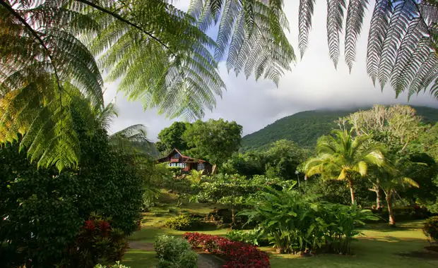 Jardin Malanga 3* - 17