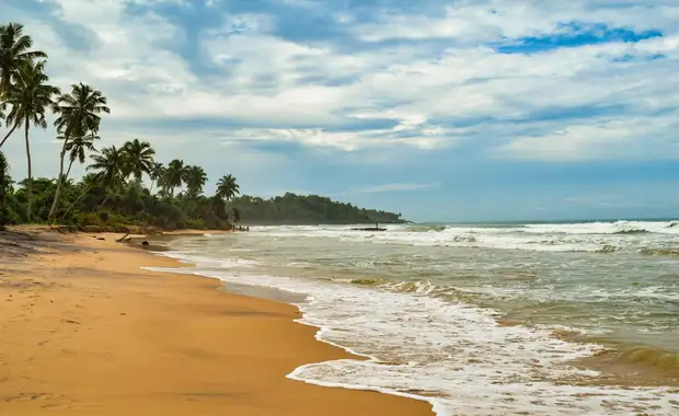 Le meilleur du Sri Lanka avec extension balnéaire 3* - 20