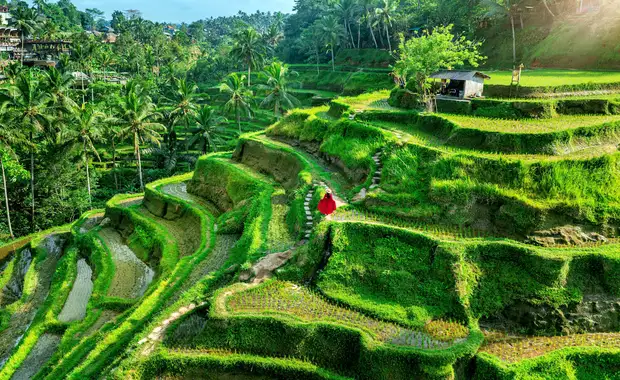 Les incontournables de Bali, Gili Air & Nusa Penida 3* - 8