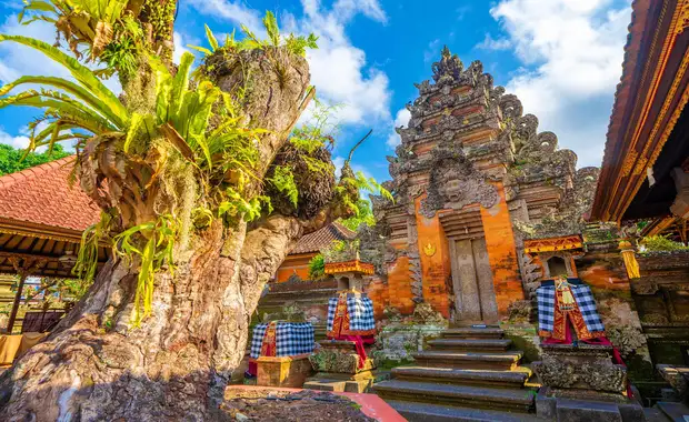 Les incontournables de Bali, Gili Air & Nusa Penida 3* - 2