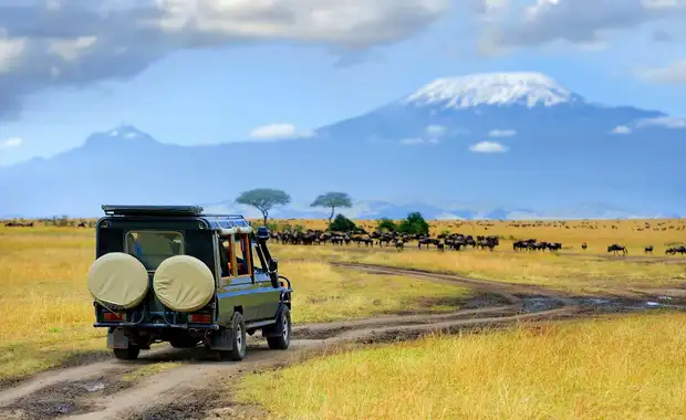 Le meilleur du Kenya en safari 3* - 15