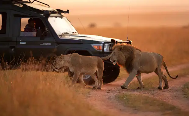 Le meilleur du Kenya en safari 3* - 7