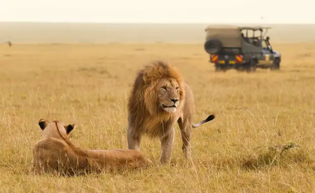Le meilleur du Kenya en safari 3* - 16