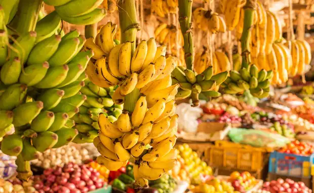 Circuit privatif : Safari authentique au Kenya 3* - 2