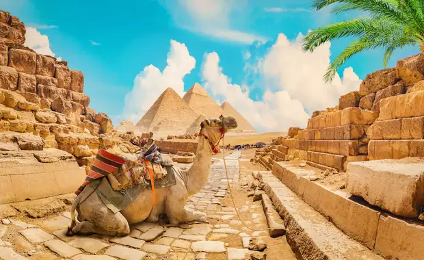 Farniente et découverte en Egypte 5* - 5