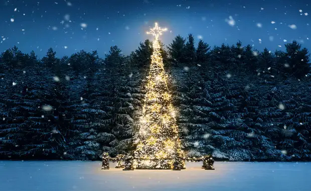 Escapade à deux au coeur de Strasbourg - 4* - 13