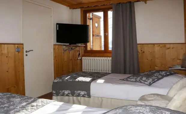 Cadre chaleureux au pied des montagnes - 3* - 23