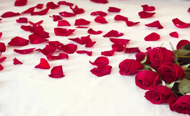 Surprenez votre moitié avec romance et bulles à Amsterdam - 4* - 15
