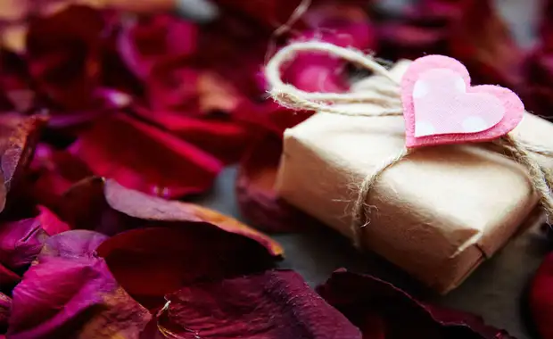 Bulle romantique à Orléans - 4* - 10
