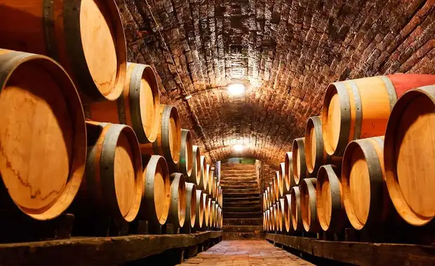 Week end oenologique avec visite & dégustation dans un château du vignoble Bordelais - 19