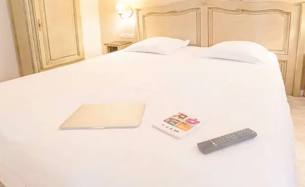 Séjour avec dîner et spa à 1h de Paris - 3* - 16