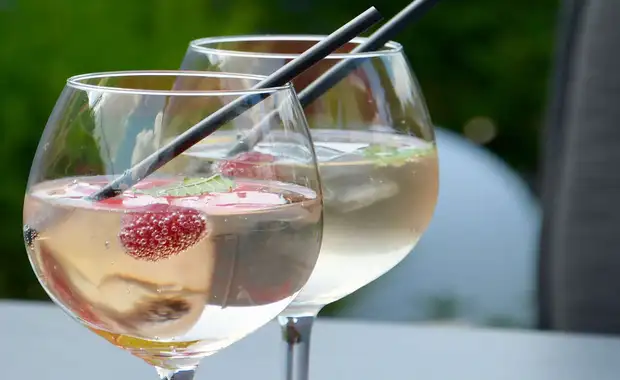 Délices et rosé près de Bordeaux - 3* - 1