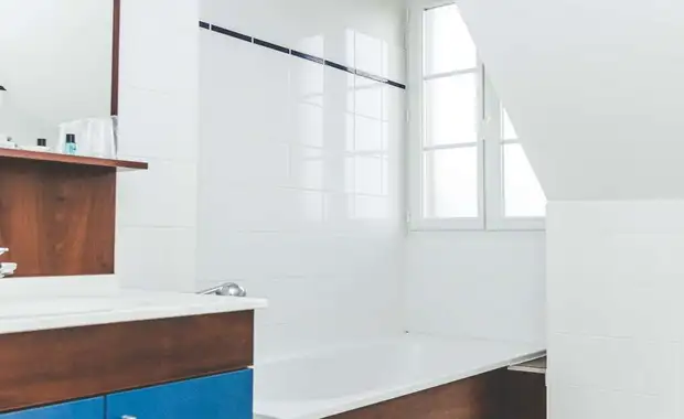 Appartement à la Roche-Posay avec visite du Zoo de Beauval en famille - 3* - 17