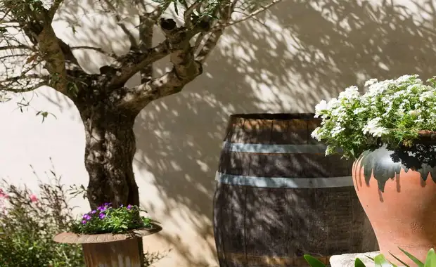 Escapade romantique avec demi-bouteille de champagne à Nîmes - 3* - 23
