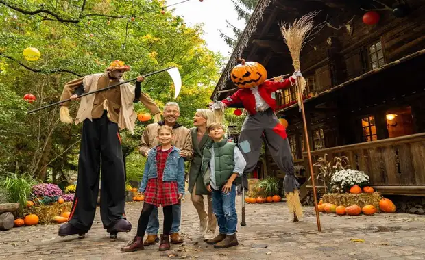 Séjour à la frontière de la Suisse avec entrée à Europa Park à 1h30 du parc (4 pers. max.) - 3* - 35