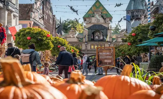 Séjour à la frontière de la Suisse avec entrée à Europa Park à 1h30 du parc (4 pers. max.) - 3* - 28