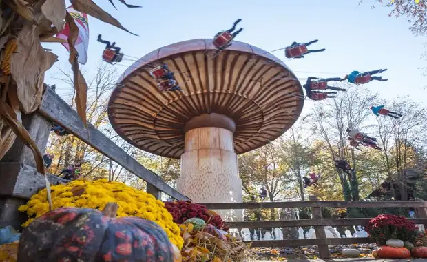 Séjour à la frontière de la Suisse avec entrée à Europa Park à 1h30 du parc (4 pers. max.) - 3* - 27