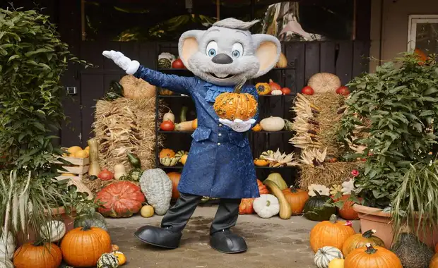 Séjour à la frontière de la Suisse avec entrée à Europa Park à 1h30 du parc (4 pers. max.) - 3* - 31
