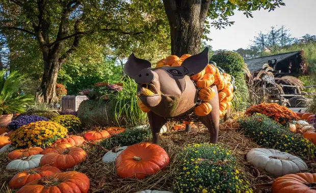 Séjour à la frontière de la Suisse avec entrée à Europa Park à 1h30 du parc (4 pers. max.) - 3* - 16