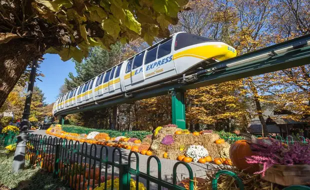 Séjour à la frontière de la Suisse avec entrée à Europa Park à 1h30 du parc (4 pers. max.) - 3* - 17